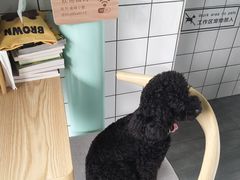 -蜜蜂小象·榴莲千层蛋糕(时代汇11栋店)