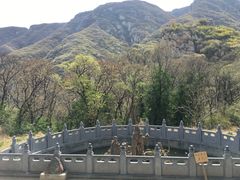 -嵩山少林文化旅游景区