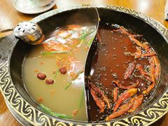 -金鼎雪山牦牛杂火锅(理县总店)