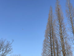 -宜兴龙背山森林公园