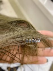 -SalonRivelin 沙龙瑞菱