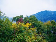 -大余丫山旅游度假区