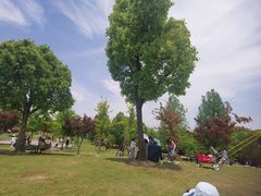 -广富林郊野公园