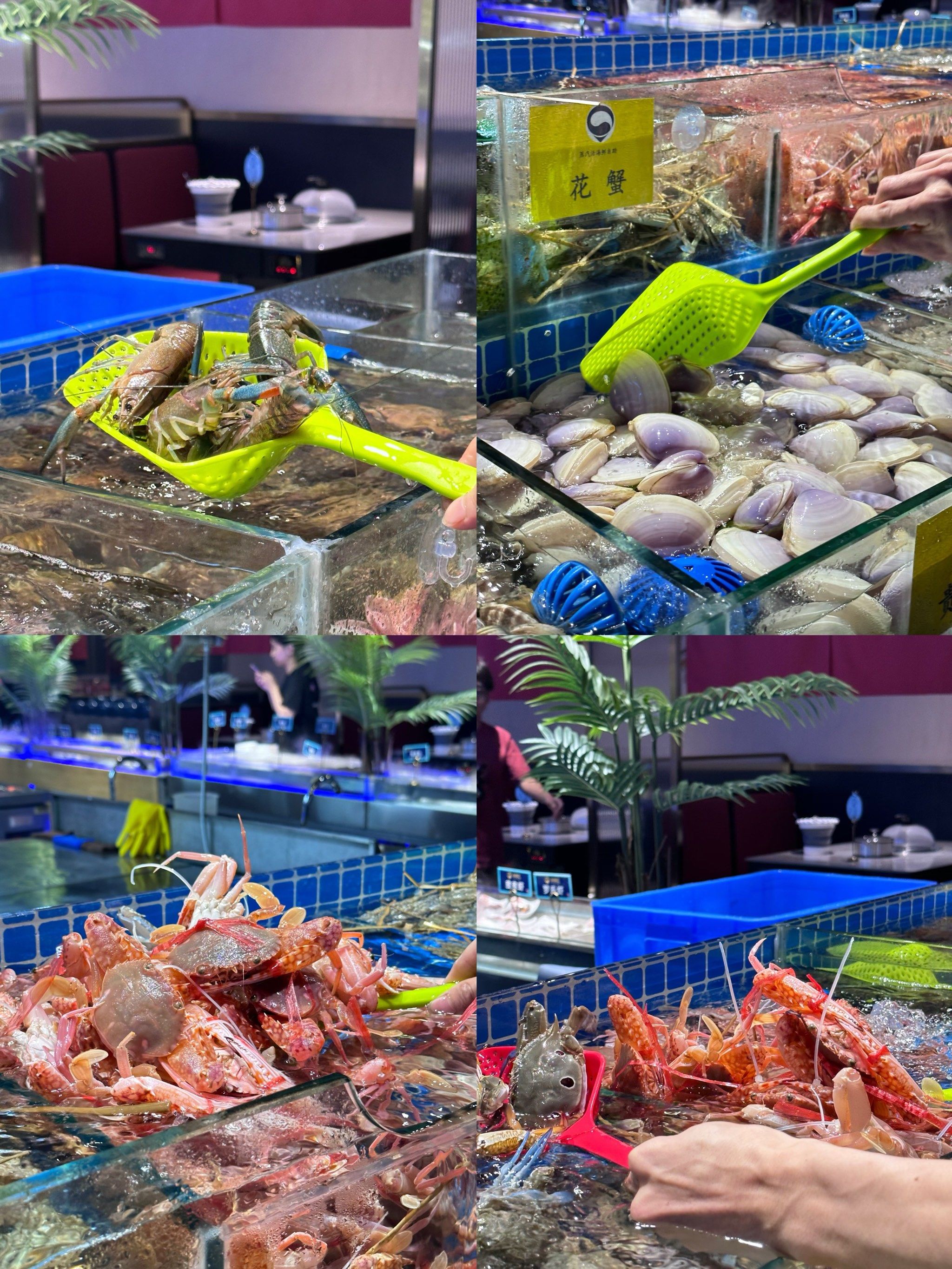 吹爆会展中心这家蒸汽海鲜自助!