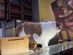 -咖法森林·咖啡  酒吧(天河店)