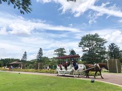 -迪茵湖田家舍生态农场