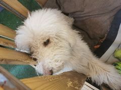 -MOJO密室逃脱(中街旗舰店)