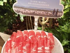 -巴奴毛肚火锅(邯郸美乐城店)