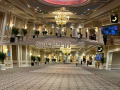 -澳门威尼斯人综合度假区