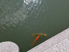 -圆通寺