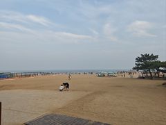 -京秀缘蒸汽海鲜农家菜大馅蒸饺