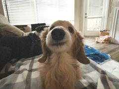 -古茗(金山大润发店)