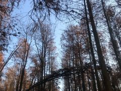 -青山湖景区