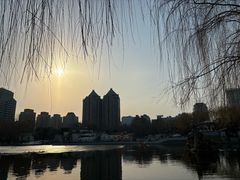-团结湖公园