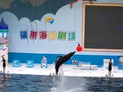 -蓬莱欧乐堡海洋极地世界