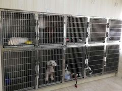 -宠颐生宠物医院·骨外科·犬猫全科诊疗中心(池州店)