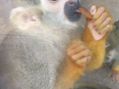 -石家庄市动物园