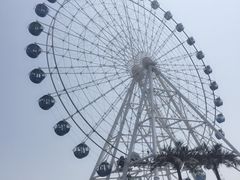 -秦皇岛乐岛海洋王国