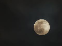 -御林汤泉