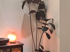 -Lazy Time Massage南亚按摩小馆(大悦城店)