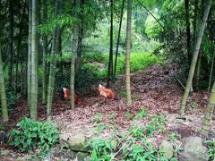 -会稽山峡洞漂流-上青古道