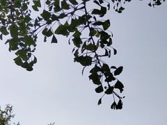 -北京石刻艺术博物馆(五塔寺)