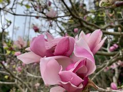 -广州市流溪河国家森林公园