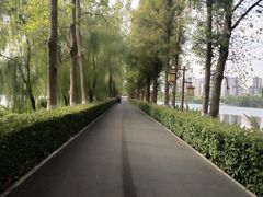 -洋湖国家湿地公园
