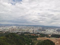-长虫山生态公园风景林