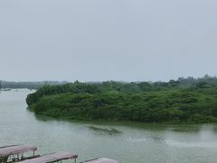 -东寨港红树林旅游区
