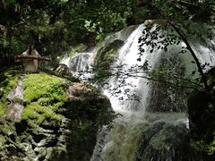 -牛背梁国家森林公园