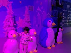 -西安银基冰雪世界