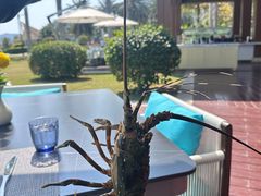 -宴悦海鲜餐厅·游水海鲜·牛排(亚龙湾瑞吉店)