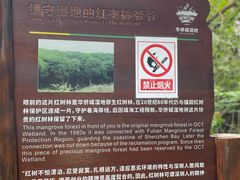 -华侨城湿地公园