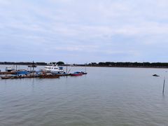 -大湾区中央湿地公园-十九涌