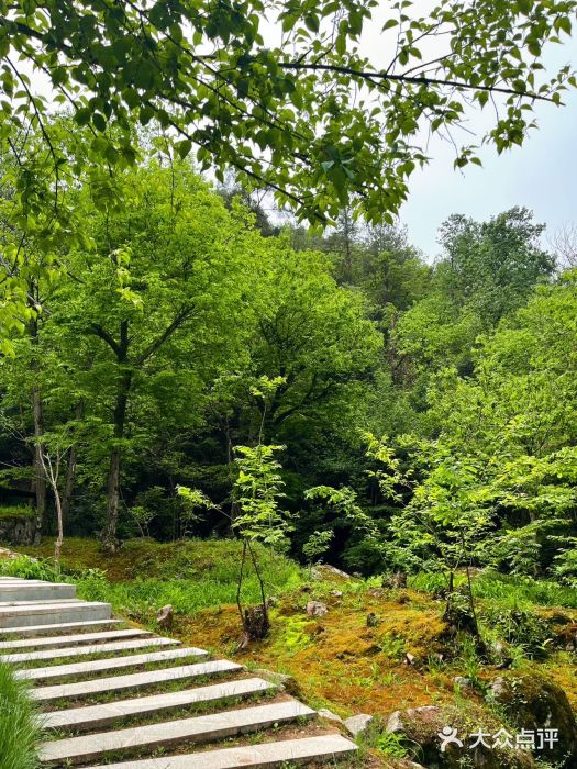 苍龙峡风景区图片