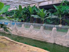 -石家庄市动物园