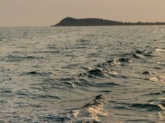 -小猫钓鱼海钓俱乐部(椰梦长廊店)