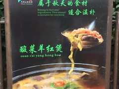 -凤凰山斑鱼馆(恭城店)