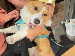 -玲婧胡同·生日蛋糕·餐厅(嘉里城店)