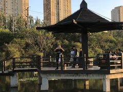 -前关湿地公园