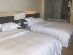 -芽庄喜来登水疗酒店