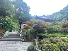 -十八棵（老龙井）御茶园(老龙井店)
