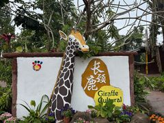 -海南热带野生动植物园