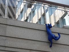 -中海环宇荟