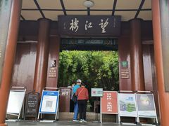 -望江楼公园