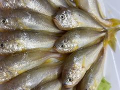 -奕景海鲜酒家· 大连海鲜(星海广场店)