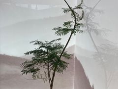 -咏江南·苏式火锅·苏州评弹(观前街店)
