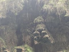 -阿依河景区