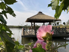-苏州湾王焰温泉度假酒店